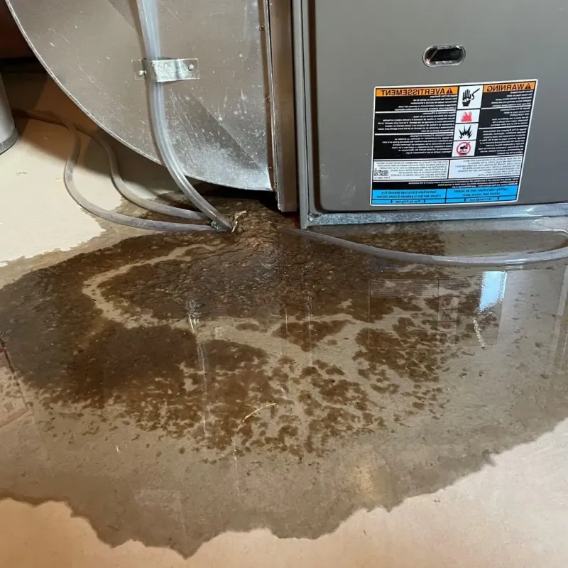 Pipe Burst and Leak Restoration in Broadmoor, CA
