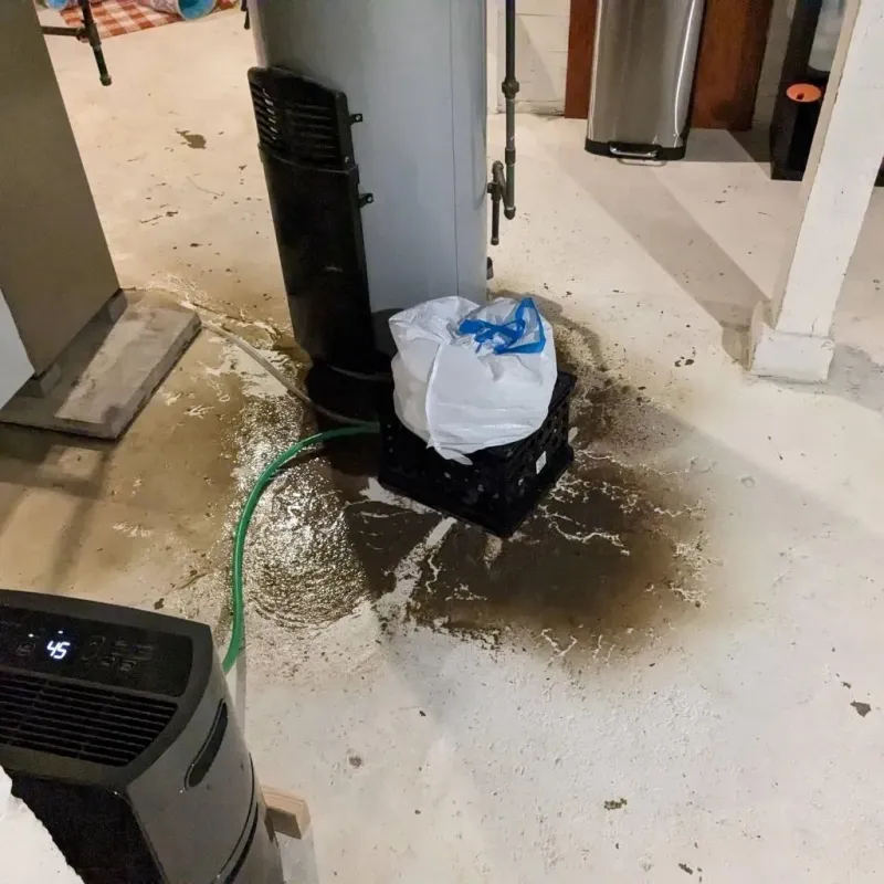 Sewage Backup Cleanup Service in Broadmoor, CA